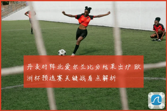 丹麦对阵北爱尔兰比分结果出炉 欧洲杯预选赛关键战看点解析